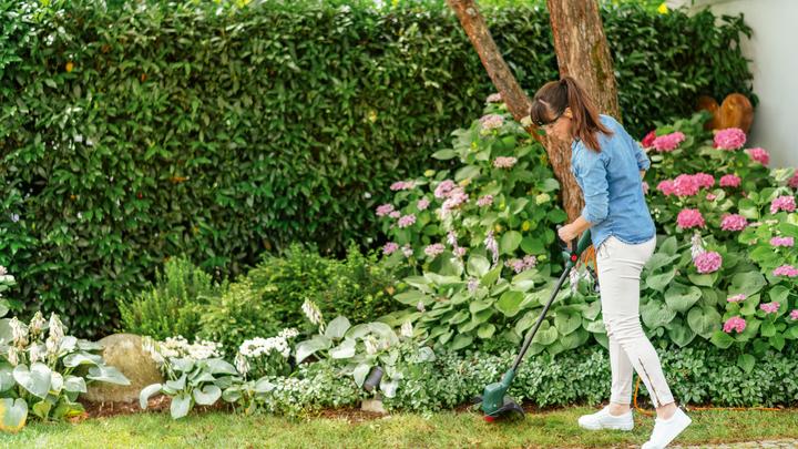 Image du produit Bosch Home & Garden Coupe-bordures électrique EasyGrassCut 23 (Fils coupe-herbe)