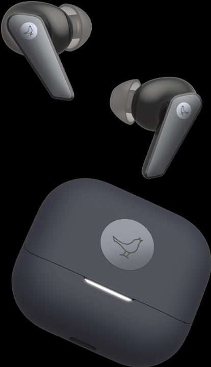 Actual product image Libratone AIR+ 3 (ANC, 6 h, Wireless)