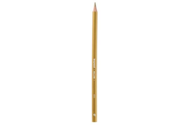 Immagine prodotto Bruynzeel Matita colorata Colorexpress (Oro)