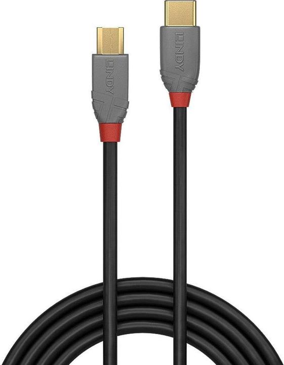 Produktbild Lindy Anthra Line (0.50 m, USB 2.0)