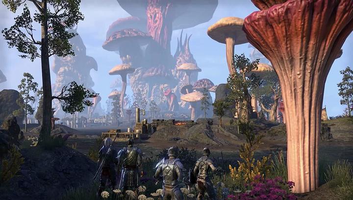Actual product image Bethesda Elder Scrolls Online (incl. Morrowind) (PS4)