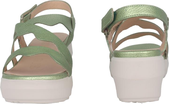 Image du produit Wonders Max (40)