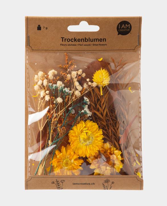 Produktbild I Am Creative Trockenblumenset (Trockenblumen)