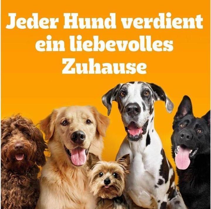 Produktbild Pedigree Adult Rind und Gemüse (Adult, 3 Stk., 3000 g)