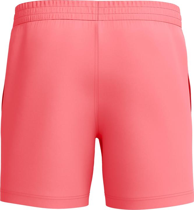 Actual product image Speedo Essential 16" Watershort (L)