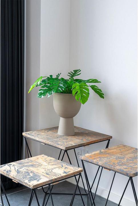 Actual product image House Nordic Monstera (45 cm)