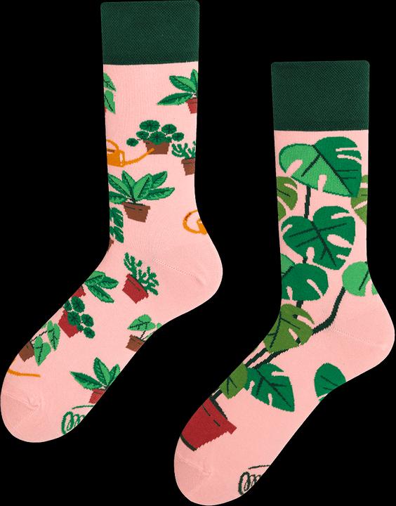 Many Mornings Plant Lover