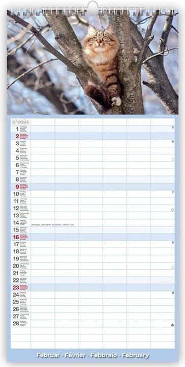 Image du produit Calendrier Chats 22 x 45 cm (22 x 45 cm)
