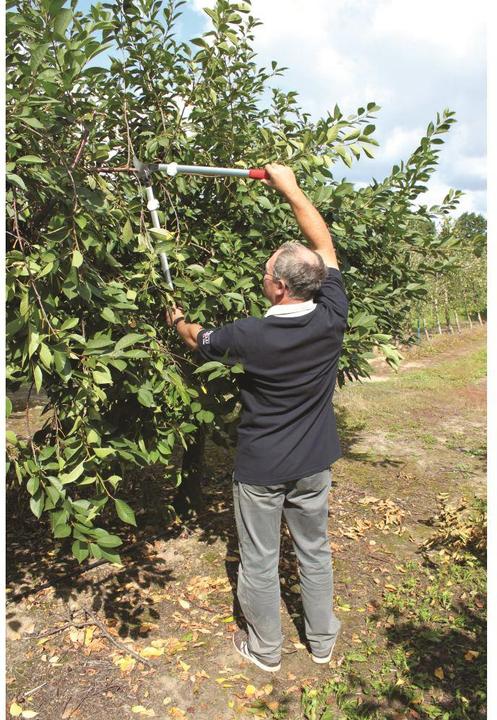 Produktbild Felco Baum-und Rebscheren