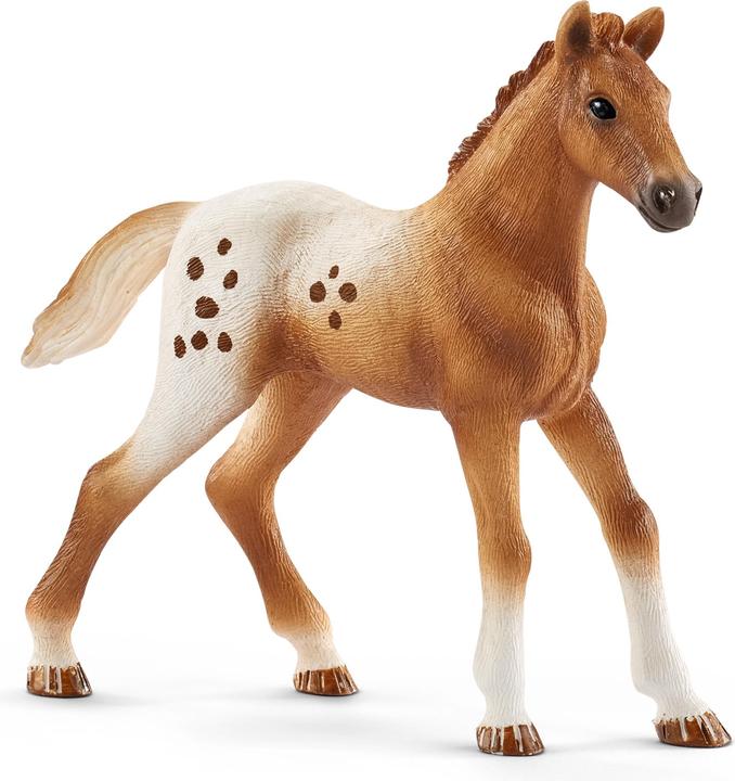 Produktbild Schleich Horse Club Lisas Turnier-Training