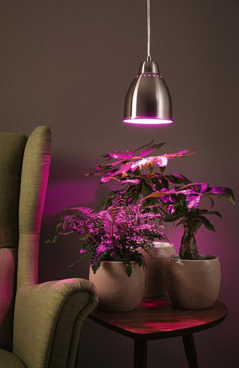 Produktbild Paulmann Neordic Hilla (E27)
