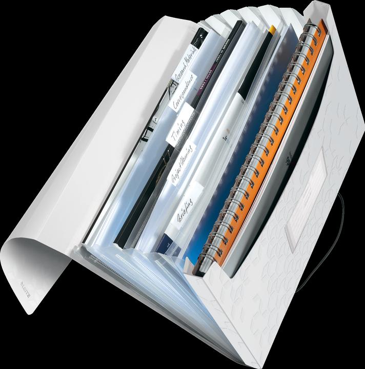 Actual product image Leitz Wow (A4, 1 x)