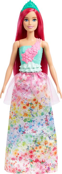 Actual product image Barbie Dreamtopia