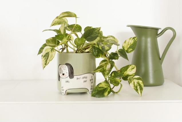 Actual product image Winkee Animal flower pot dog (14 cm)