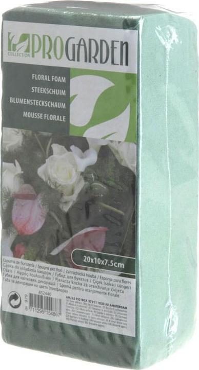 Produktbild ProGarden Steckschaum Nass, 20x10x7cm
