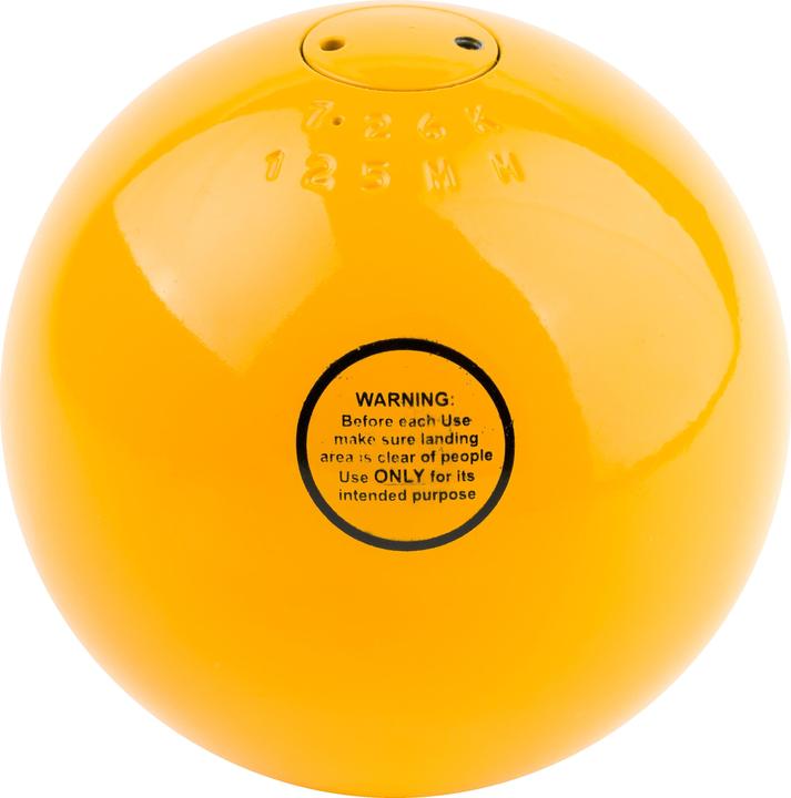 Actual product image Sport-Thieme Competition Shooting Ball Steel (7260 g)