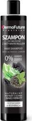 Image du produit DermoFuture Shampooing au charbon (250 ml, Shampoing liquide)