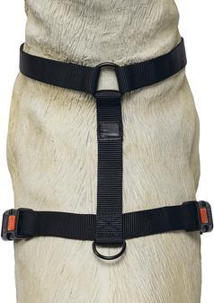 Produktbild Karlie Art Sportiv Plus Geschirr neue universal Farben Mix and Match (M, Hund, Spazieren)