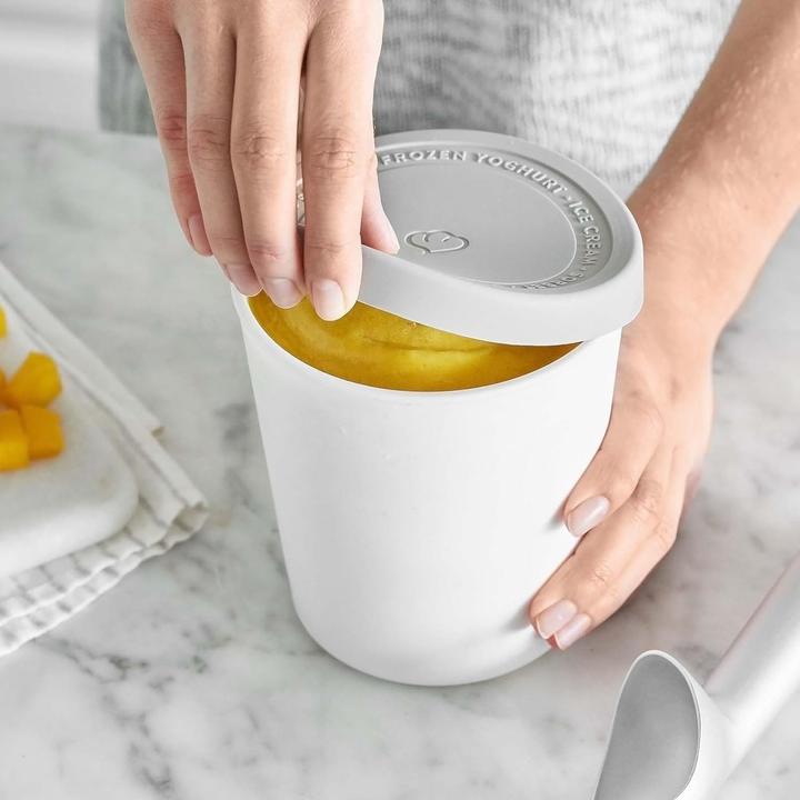 Actual product image Springlane Ice Container for Ice Cream (0.4L)