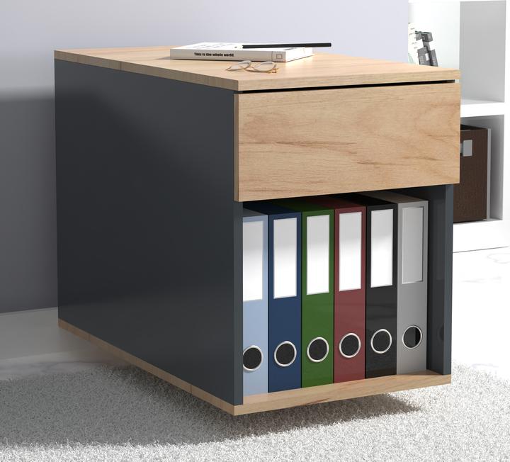 Immagine prodotto VCM my office Dalosa mobile piedistallo grigio 1 cassetto 39.0 x 70.0 x 55.0 cm (39 x 70 x 55 cm)