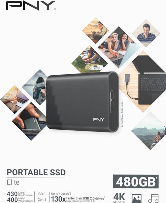 Actual product image PNY Elite (480 GB)