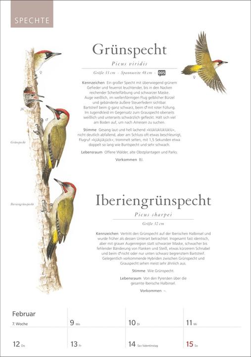 Immagine prodotto Harenberg KOSMOS Was fliegt denn da? Wochenplaner 2026 - Der Kalender zum KOSMOS-Naturführe (Tedesco)