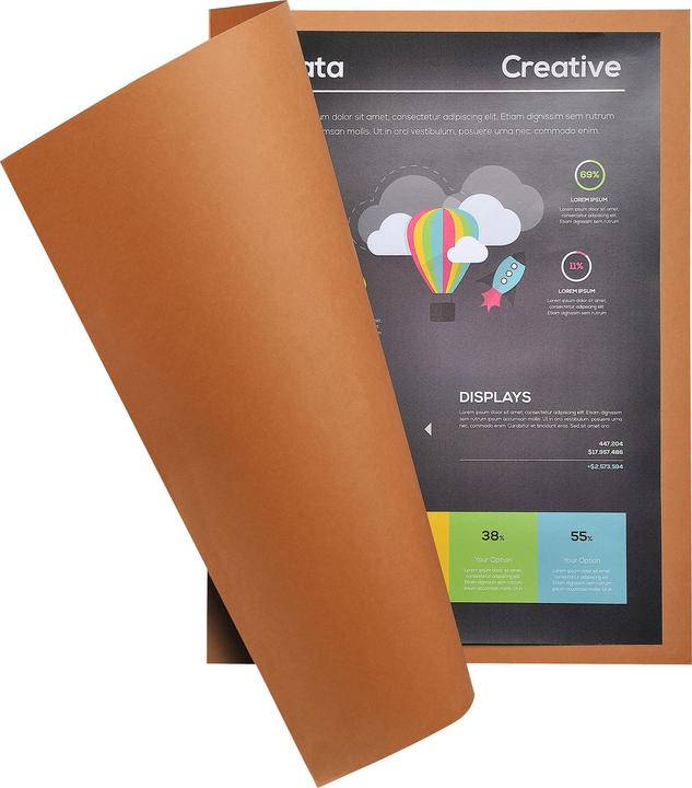 Image du produit Exacompta Fardes de classement - Couvertures de dossiers (A4, 50 x)