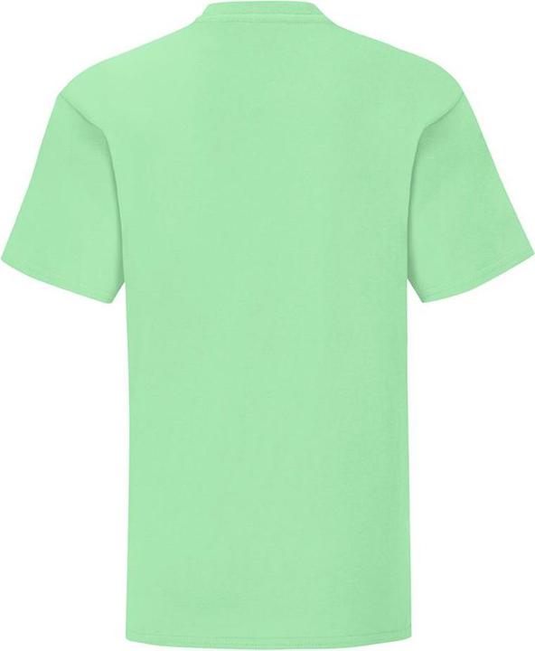 Image du produit Fruit of the Loom UTBC4731 P (164)