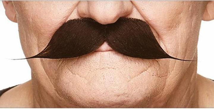 Produktbild Metamorph Englischer Moustache
