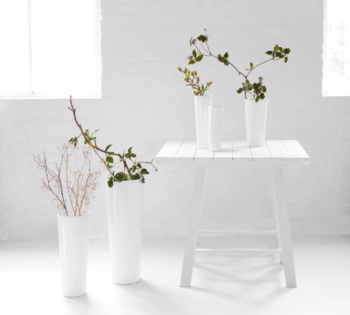 Immagine prodotto ASA Selection bianco (1 x)