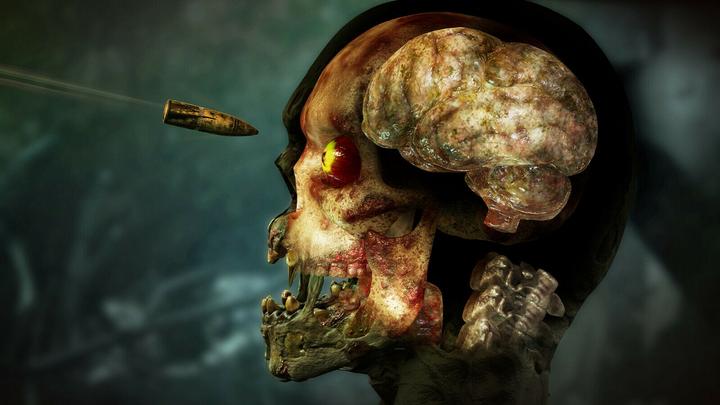 Image du produit Zombie Army 4: Dead War (Xbox One X, Xbox Series X, DE)