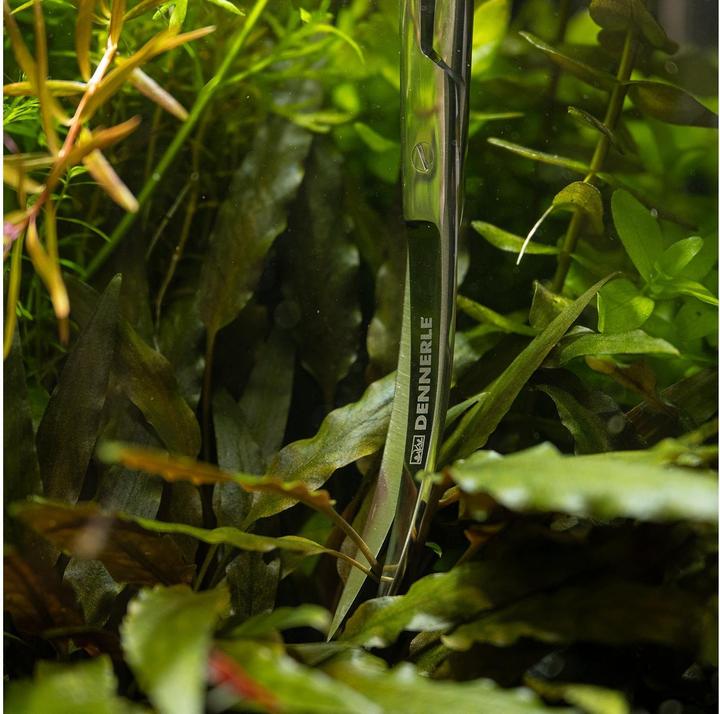 Immagine prodotto Dennerle Forbice per piante curva, 25 cm (Pulizia dell'acquario)