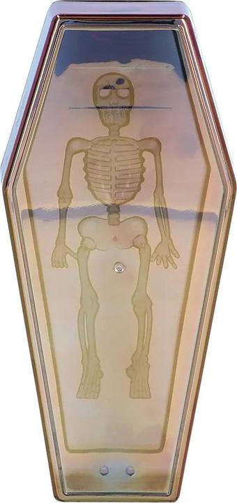 Actual product image Boland Coffin box iridescent 19x9x4.6cm plastic, box and lid