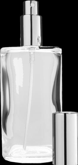 Flasche mit Zerstäuberpumpe (100 ml)
