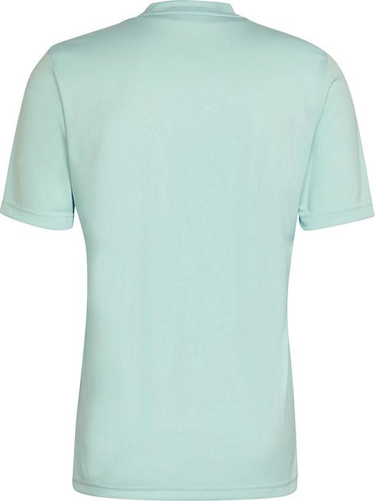 Actual product image adidas Entrada 22 Graphic Jersey (M)