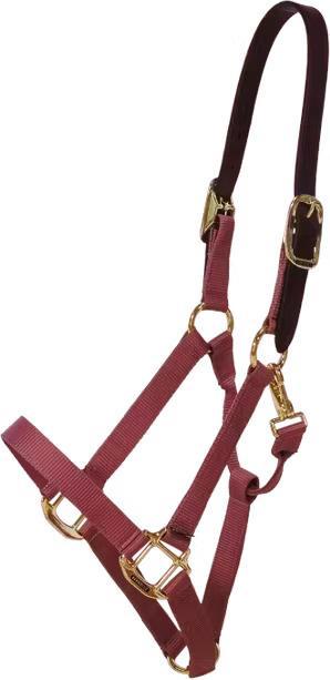 Kentucky Horsewear Breakaway