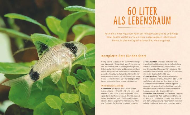 Produktbild Kleine Aquarien (Deutsch, Ulrich Schliewen, 2016)