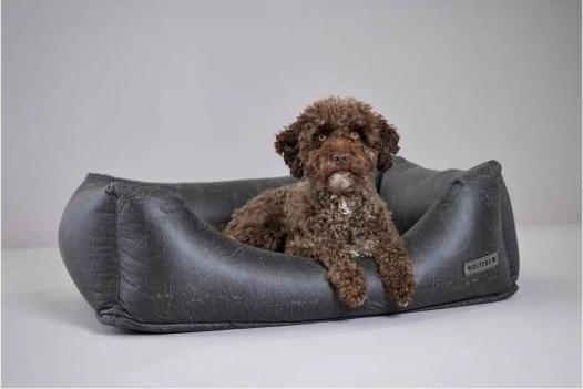 Produktbild Wolters Vintage (Hund)