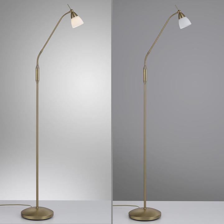 Produktbild Paul Neuhaus Pino (265 lm, G9)