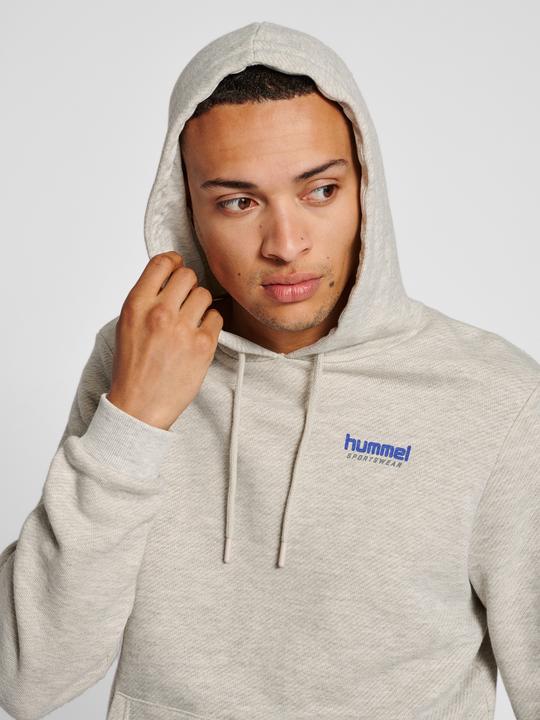 Produktbild hummel Lgc Austin Hoodie (M)