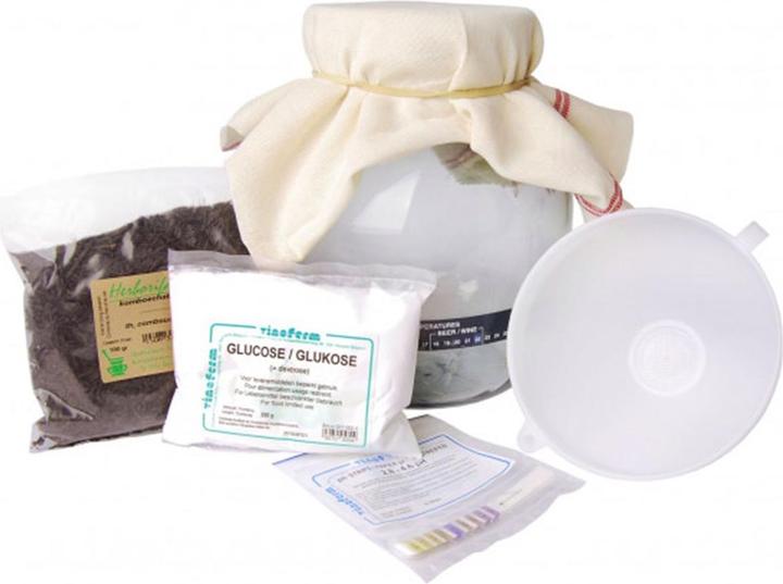 Ich-zapfe Kit de démarrage Kombucha