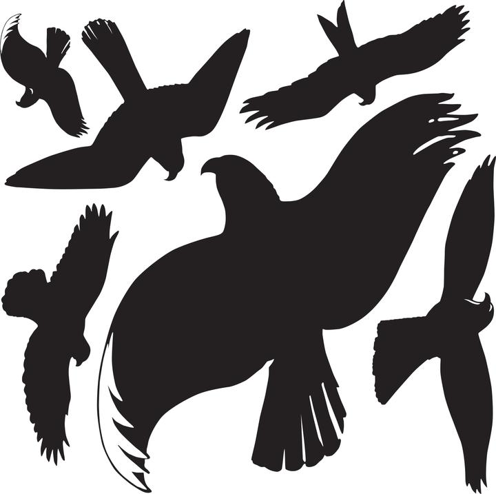 Produktbild Z-Design Fensterbild Warnung Vögel