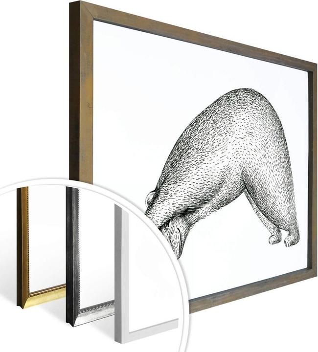 Immagine prodotto Trenddeko Orso Yoga 01 (60 x 50 cm)
