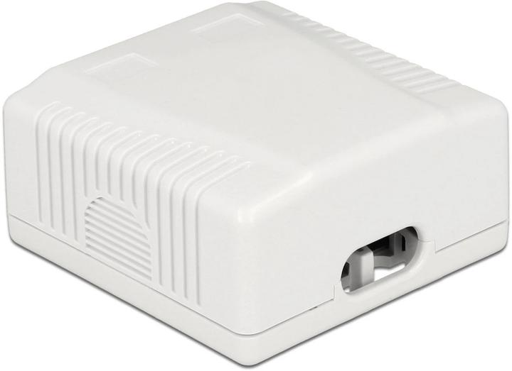 Image du produit Delock RJ-45 Cat.6A Boîtier : 2 ports (Accessoires réseau)