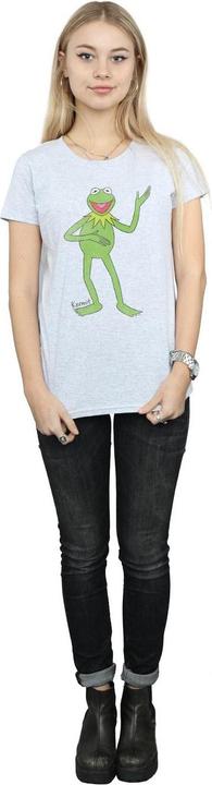 Actual product image Gildan Womens/Ladies Classic Kermit Heather T-Shirt (XS)