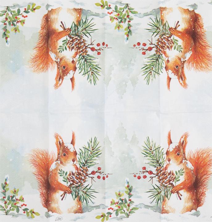 Actual product image IHR Roger" paper handkerchiefs
