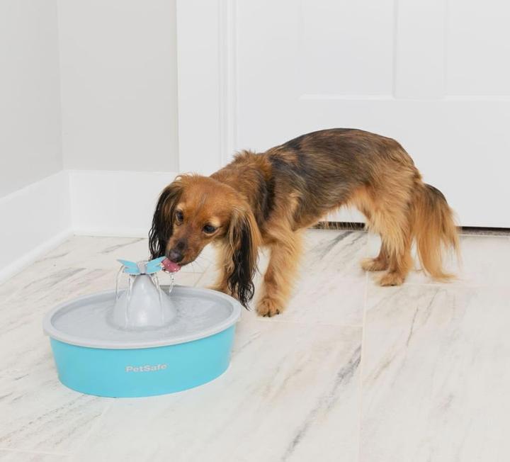 Immagine prodotto PetSafe Fontana per animali domestici Drinkwell® Butterfly (1.50 l)