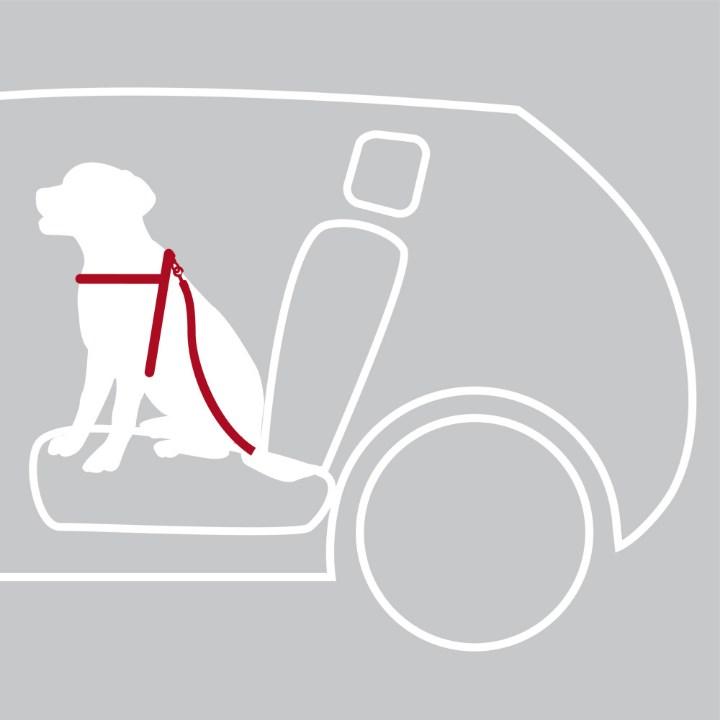 Immagine prodotto Trixie Cablaggio auto (M, Cane, Generale)