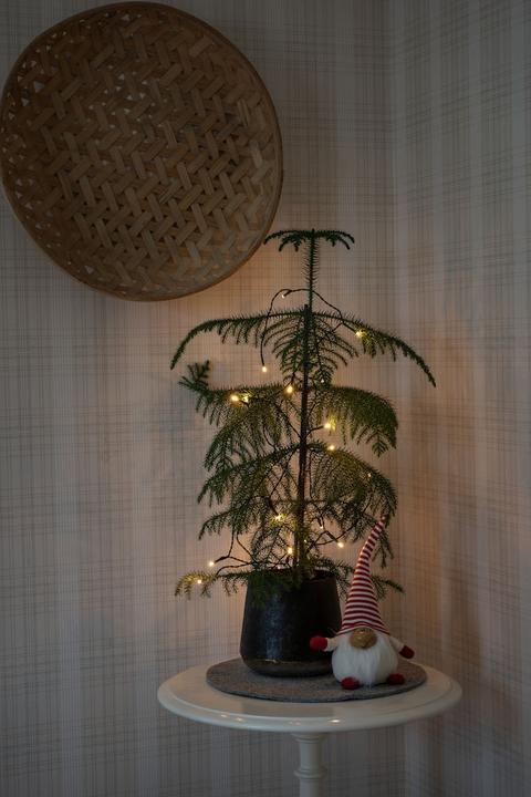 Actual product image Konstsmide 1469-100 Fairy lights with batteries indoor battery-operated Quantity (4.85 m)