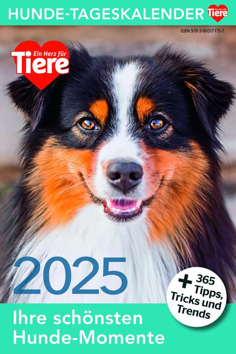 Produktbild Hunde Tageskalender 2025 (14 x 21 cm, Deutsch)